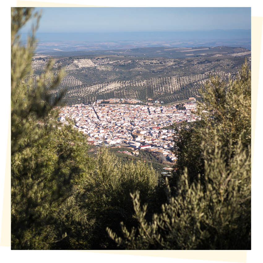 Vista panorámica de Nueva Carteya