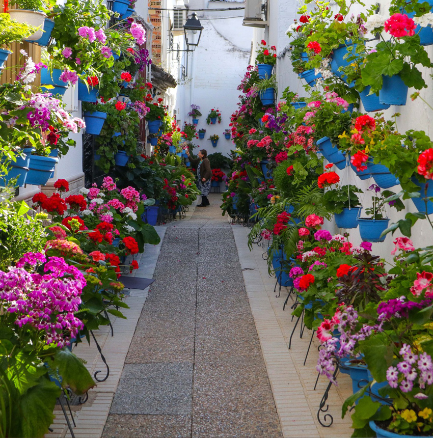 Callejón de Don Pablo