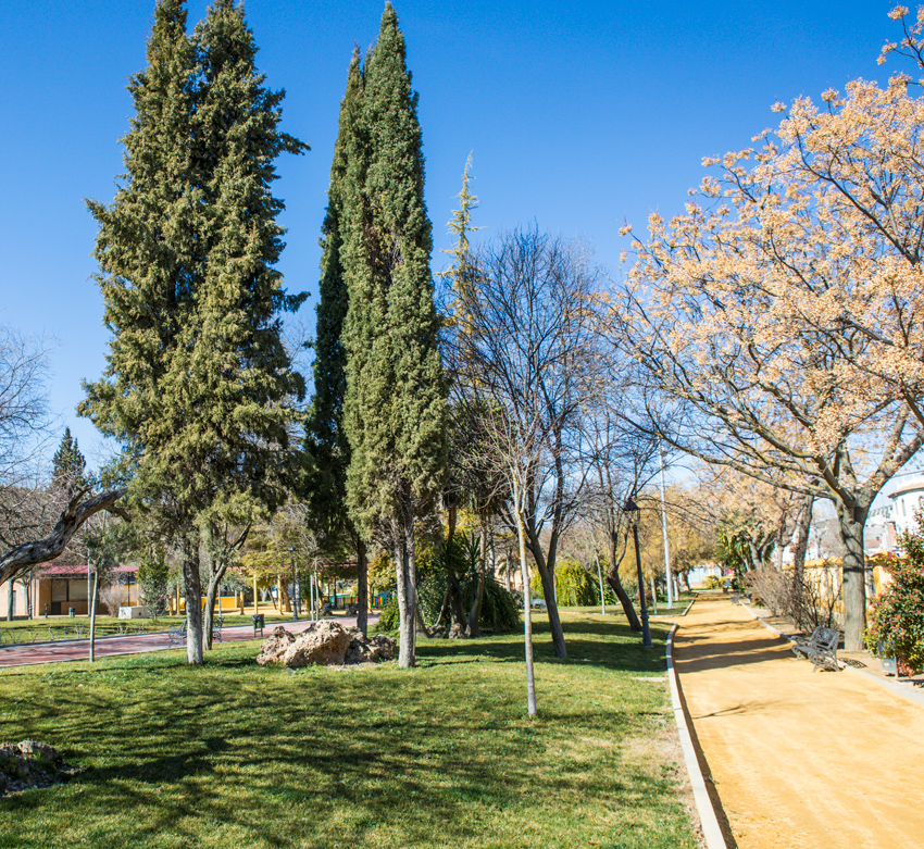 Parque Plácido Fernández Viagas