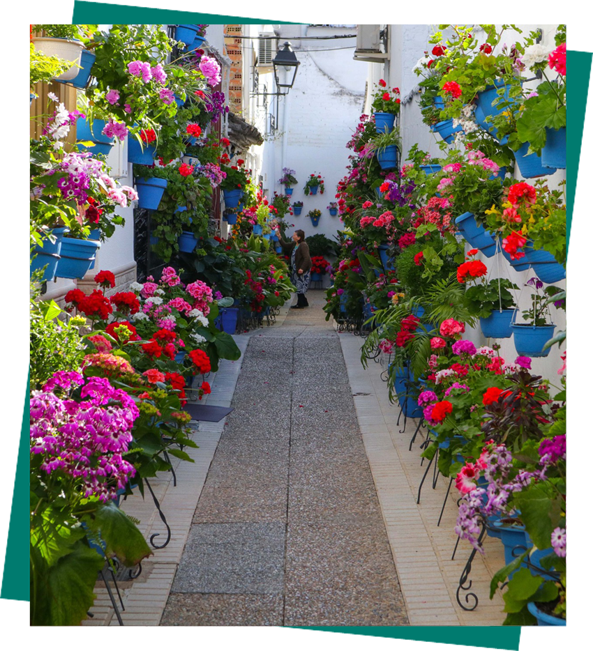Callejón de Don Pablo