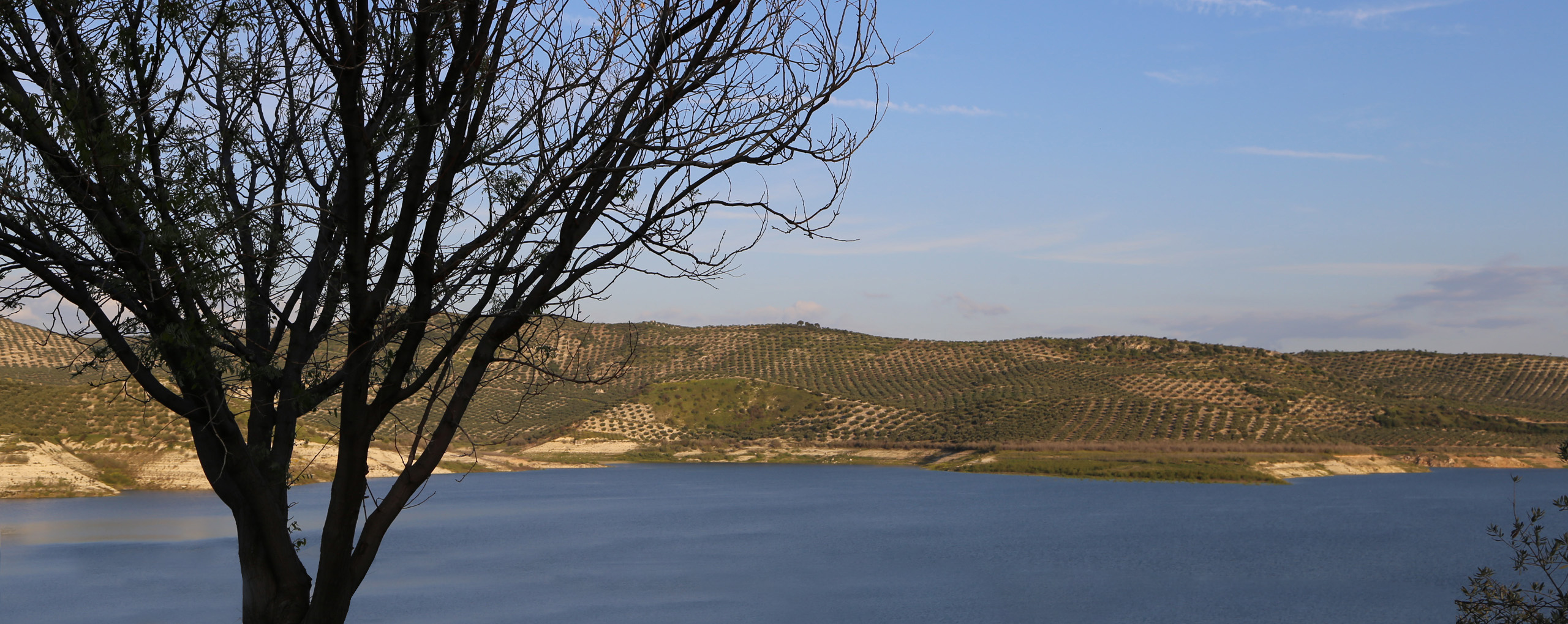 Panorámica Pantano de Vadomojón